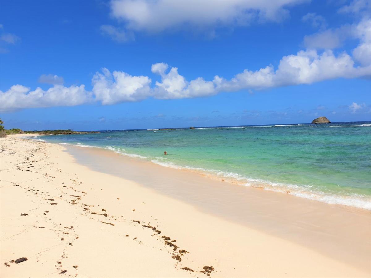 Villa Guadeloupe Saint Francois Acces Mer Piscine Iguana Bay - Villa Zagadi Екстер'єр фото