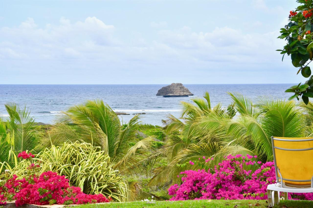 Villa Guadeloupe Saint Francois Acces Mer Piscine Iguana Bay - Villa Zagadi Екстер'єр фото