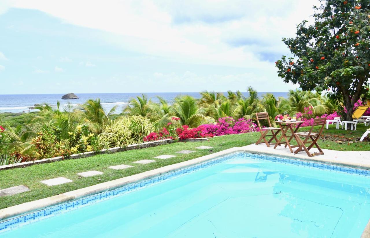 Villa Guadeloupe Saint Francois Acces Mer Piscine Iguana Bay - Villa Zagadi Екстер'єр фото