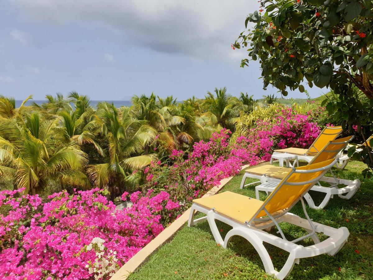 Villa Guadeloupe Saint Francois Acces Mer Piscine Iguana Bay - Villa Zagadi Екстер'єр фото