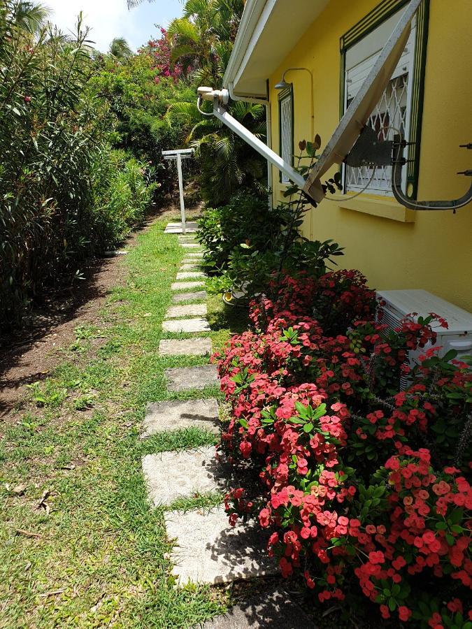 Villa Guadeloupe Saint Francois Acces Mer Piscine Iguana Bay - Villa Zagadi Екстер'єр фото