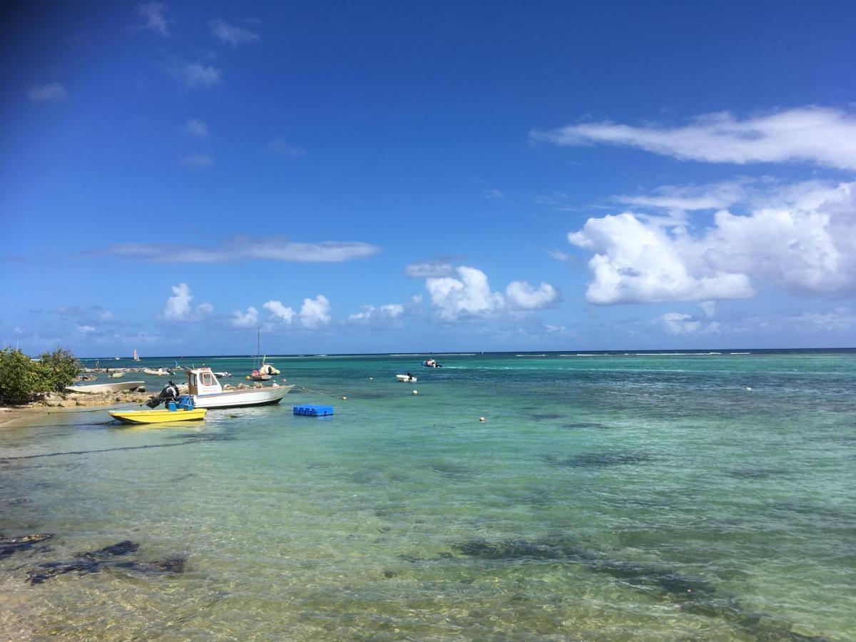 Villa Guadeloupe Saint Francois Acces Mer Piscine Iguana Bay - Villa Zagadi Екстер'єр фото