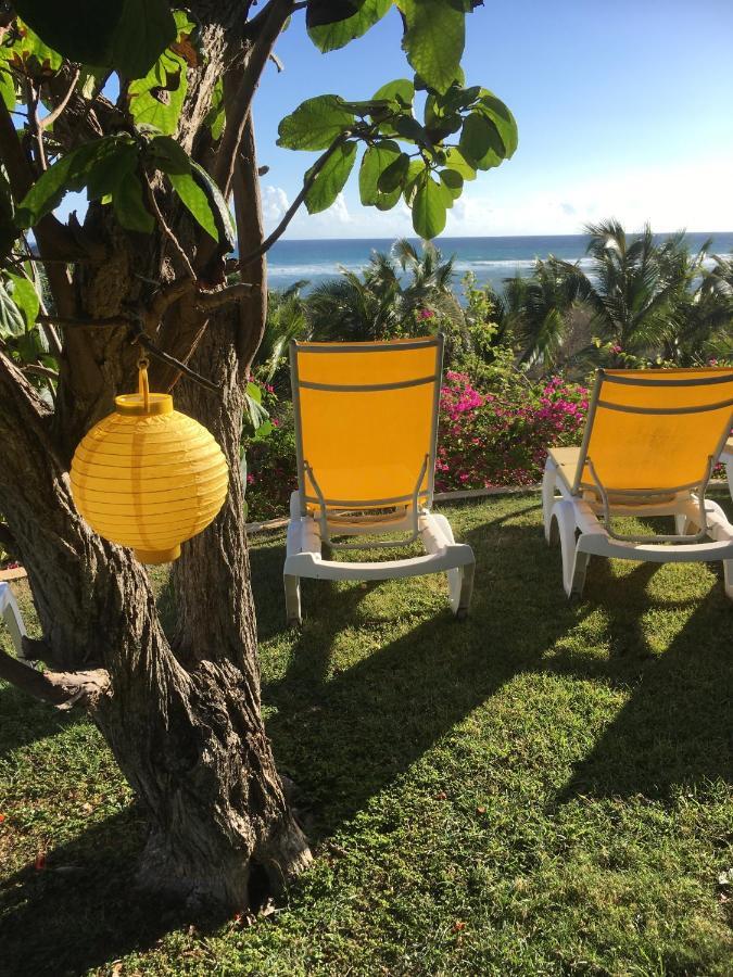 Villa Guadeloupe Saint Francois Acces Mer Piscine Iguana Bay - Villa Zagadi Екстер'єр фото