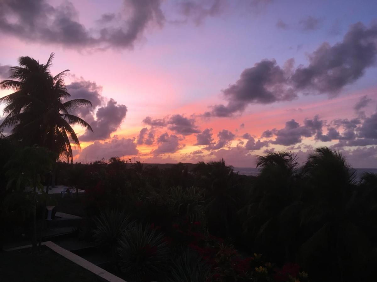 Villa Guadeloupe Saint Francois Acces Mer Piscine Iguana Bay - Villa Zagadi Екстер'єр фото